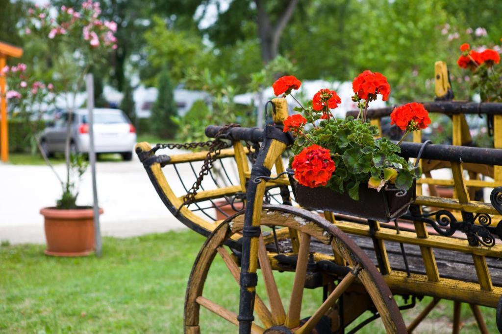 Balaton Eldorado Camping Hotel Badacsonytordemic ภายนอก รูปภาพ
